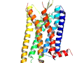 Animiertes 3D-Strukturmodel eines G-Protein-gekoppelten Rezeptors