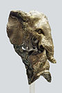 Рымская бронзавая статуэтка баявога слана