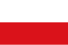 薩爾斯堡旗幟