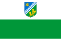 塔爾圖縣旗幟