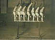 George Eyser, au centre, en jambes longues masquant sa prothèse.