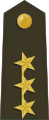 中华民国海軍陸战队二級上将肩章