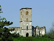 Ruins of a medieval church in Benic