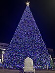 Christmas tree in Delray Beach, Florida on Atlantic Avenue in 2023
