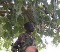 蘇丹人民解放軍的娃娃兵(2007)