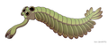 Image 86 Opabinia, an extinct stem group arthropod appeared in the Middle Cambrian (from Marine invertebrates)