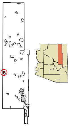 温斯洛於亞利桑那州納瓦霍縣上的位置