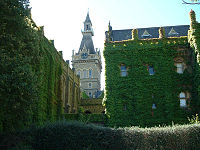 Creeper-covered exterior of Ormond College