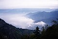 台灣阿里山的雲海