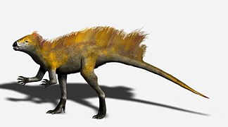 Tianyulong sp. (Ornithischia) †