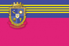 Flag of Vasylivskyi Raion