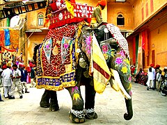 Éléphant décoré à Jaipur.