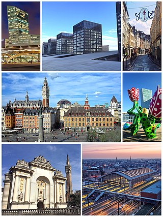 左上：里尔塔（法语：Tour de Lille）；正上：Euralille（法语：Euralille）街区的建筑；右上：里尔老城街道；左中：戴高乐将军广场；右中：欧洲文化之都雕塑；左下：巴黎门；右下：里尔佛兰德火车站