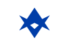 丰田市旗帜