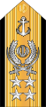 نشان دریابد نیروی دریایی ارتش جمهوری اسلامی ایران