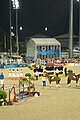 2008年夏季奧林匹克運動會馬術比賽－團體三項賽頒獎儀式