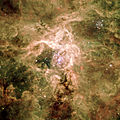 蜘蛛星云的中心: 位于中间的是R136，右上方为Hodge 301。 版权: ESO