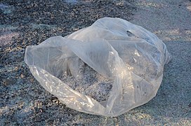 Clear plastic bags (shown) are made of LDPE; blown-film shopping bags with handles are now made of HDPE