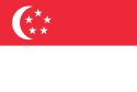 1959年起的旗幟