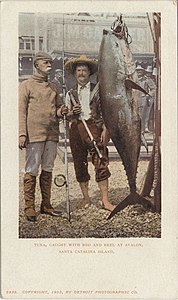 Two men with a tuna caught, tuna is hanging vertically and taller than the men