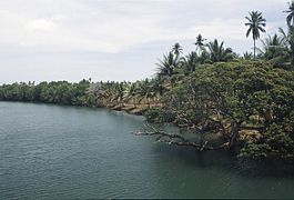 1992 : Berge relativement naturelle sur l'archipel des Philippines.