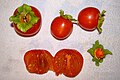 Le fruit du plaqueminier : kaki vu de haut, de face et de l'intérieur