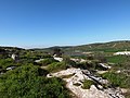 Elah Valley as seen from atop of Tel Socho