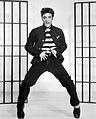 Image 10Elvis Presley was the best-selling musical artist of the decade. He is considered as the leading figure of the rock and roll and rockabilly movement of the 1950s. (from 1950s)
