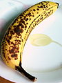 熟透的香蕉，黃色表皮上出現黑色的「梅花點」。