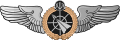Anti-aircraft Operation (Silver badge)