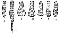 Sabatons' shape evolution by Wendelin Boeheim: 1290–1390 1300–1490 1500–1530 1530–1540 1540–1550 1550–1560 1560–1590
