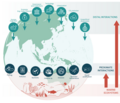 Image 13Drivers of change in marine ecosystems (from Marine ecosystem)