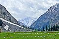 The northernmost region of Swat – a region known as Kohistan – has high alpine valley at the base of tall mountains