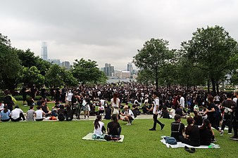 早上的添馬公園已經聚集大量人群