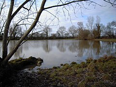 L'étang du Clairet à La Pouëze où l'Erdre prend sa source.