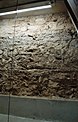 Fragment du mur du forum de Lutèce dans le parking souterrain de la rue Soufflot.