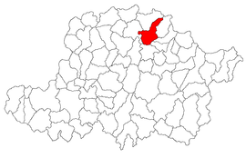 Location in Arad County