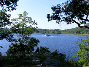 哈里曼州立公園（英语：Harriman State Park (New York)）裡的島池