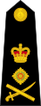 英國皇家海軍陸戰隊上將肩章