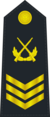 海軍二級軍士長