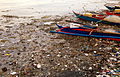 Image 67 Mudflat pollution (from Marine habitat)