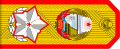 朝鲜民主主义人民共和国元帅肩章
