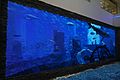 青衣市場設巨型LED屏幕，播放魚類影片