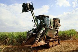 甘蔗收获机（英语：Sugarcane harvester）