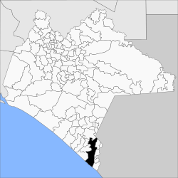 The location of Tapachula municipality in Chiapas