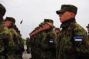 سربازان استونیایی در مراسم استقبال از سربازان ایالات متحده، ۲۰۱۴.