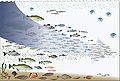 Image 118Fishing down the food web (from Marine food web)
