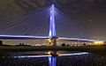 三重区内的新北大桥夜景
