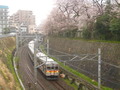 上野毛付近の切り通し区間を走る8500系 （2014年3月30日）