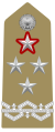 義大利陸軍陸軍兵團將軍(Generale di corpo d'armata（義大利語：Generale di corpo d'armata），等同上將)肩章